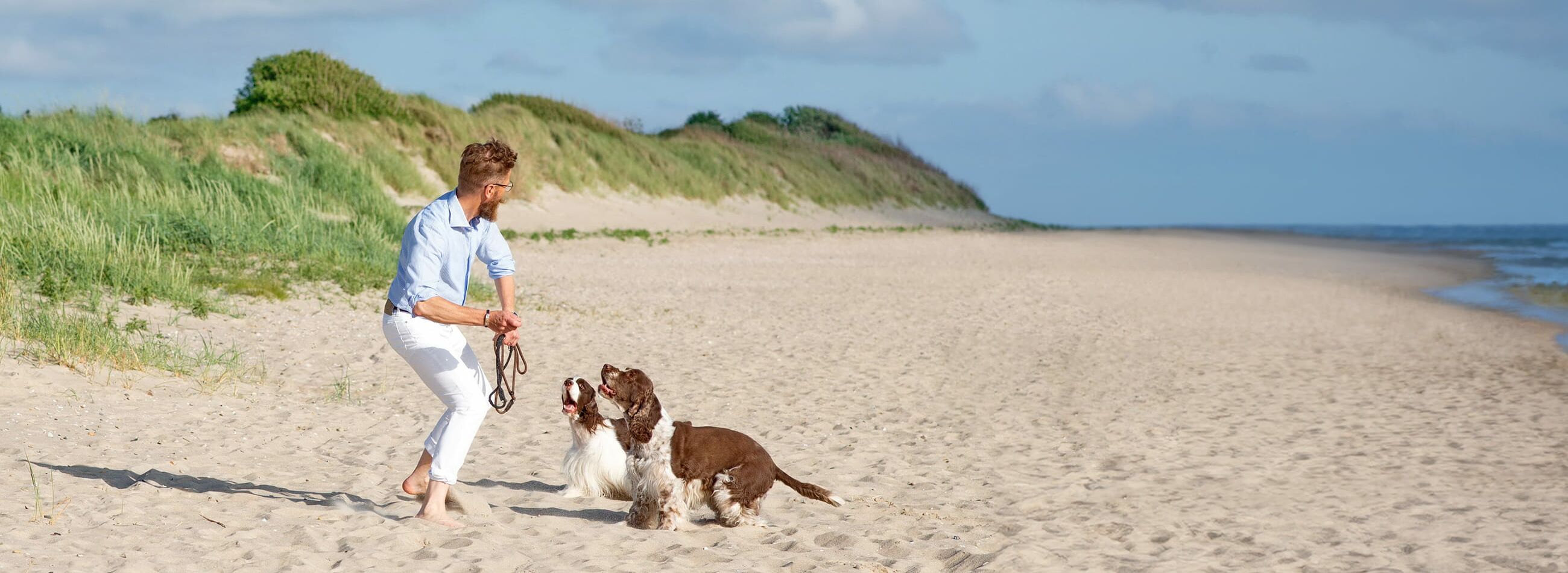 Mann spielt mit zwei Hunden am Strand auf Föhr