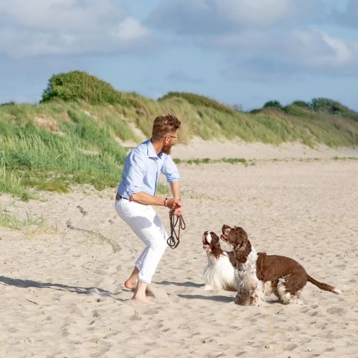 Urlaub mit Hund