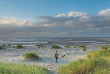 Auszeit ist Föhrzeit! Auf geht's