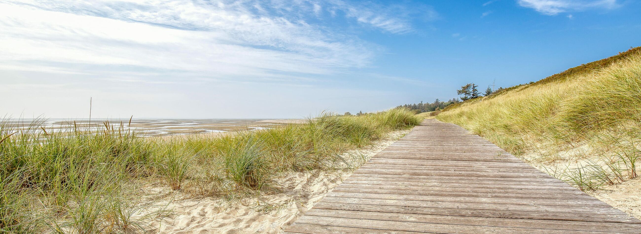 Holzweg durch Dünenlandschaft mit Blick auf das Wattenmeer auf Föhr