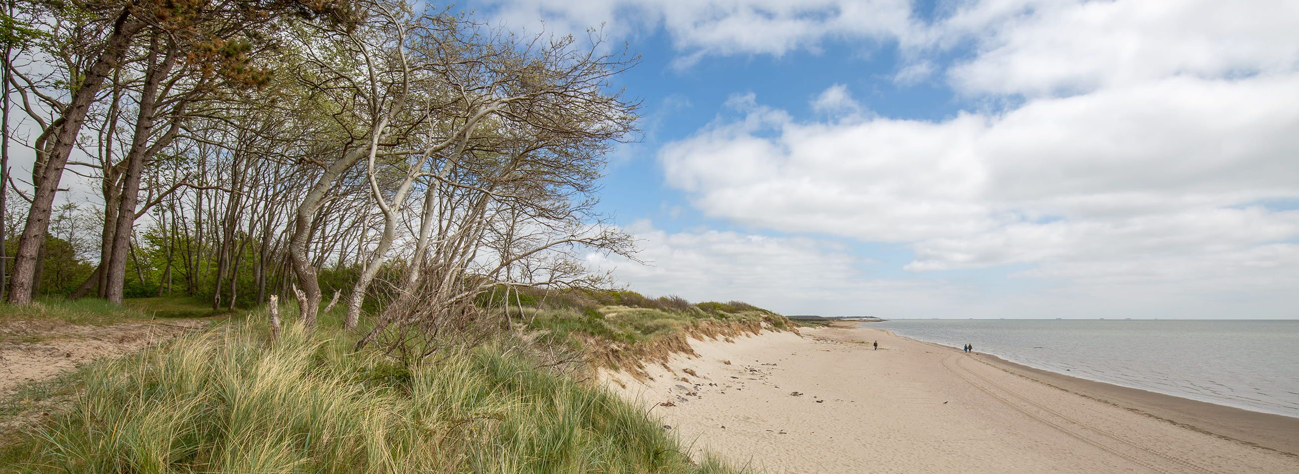 Urlaub Hedehusum